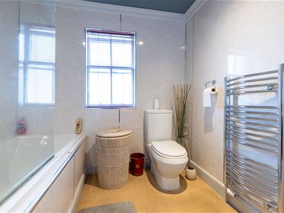 Picture 8